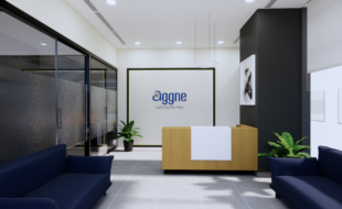 aggne interior design client